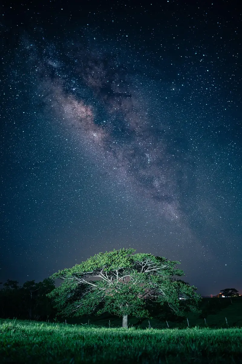 14 ways to use frankincense essential oil for kids safely