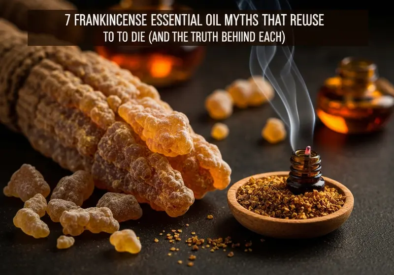7 frankincense essential oil myths that refuse to die and