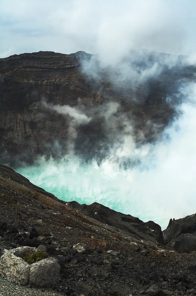 boswellic acids explained the active compounds that make