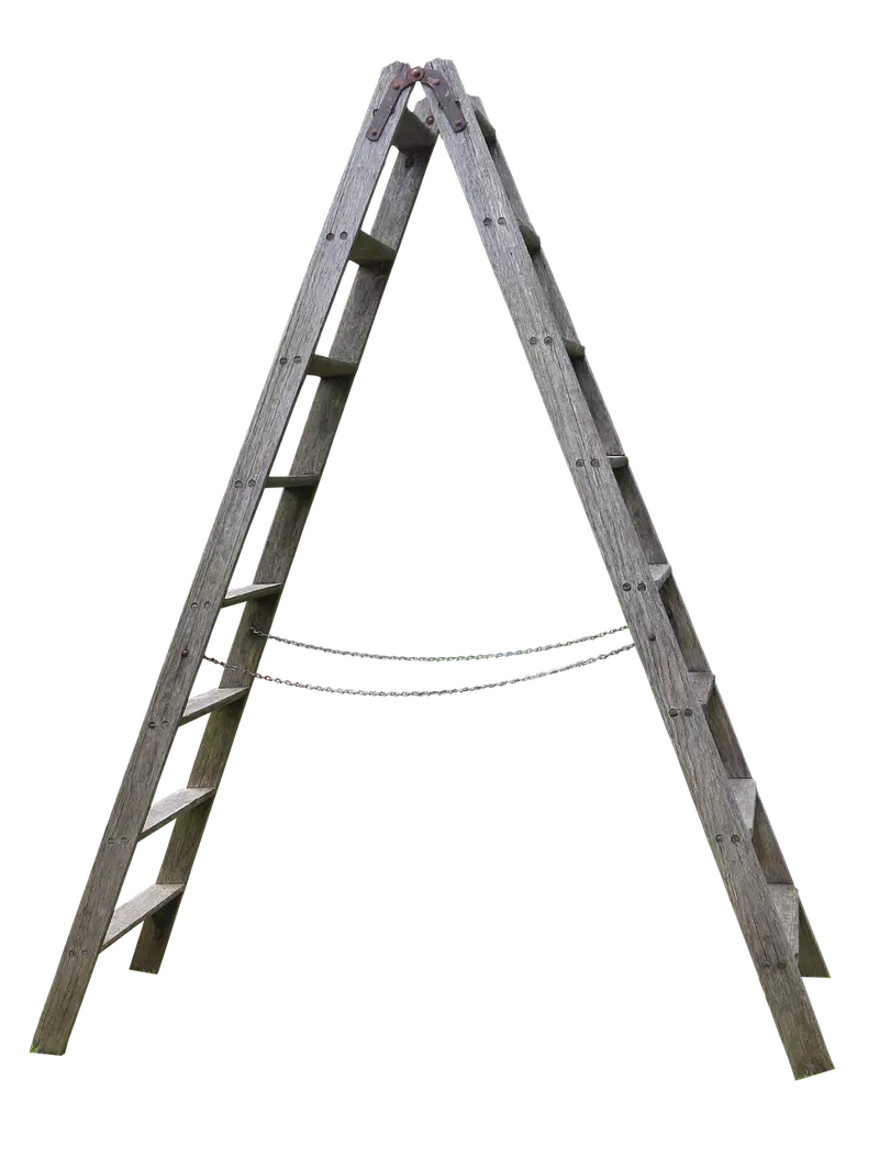 fall immune boost frankincense diffuser blends to ward off