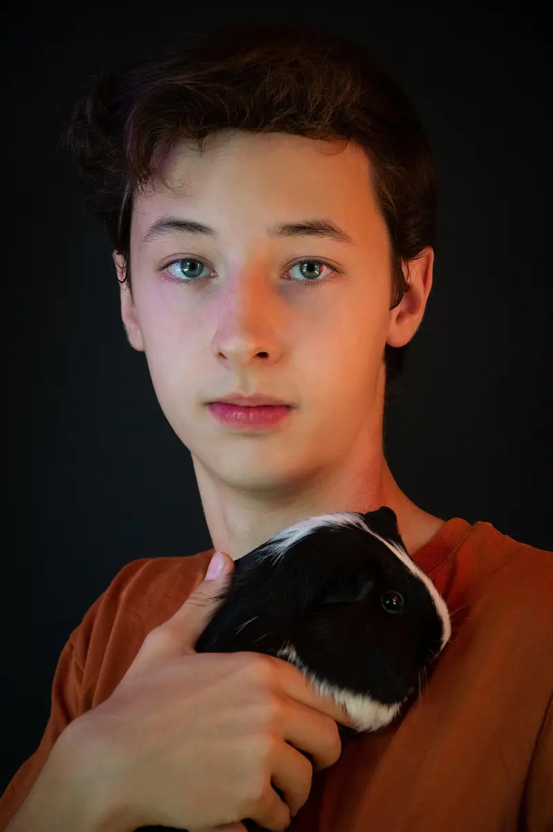 frankincense and pets faq everything pet owners need to know