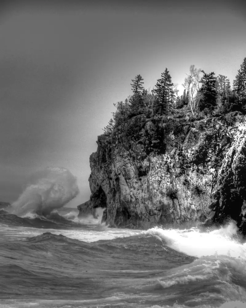 frankincense vs copaiba which is the superior anti