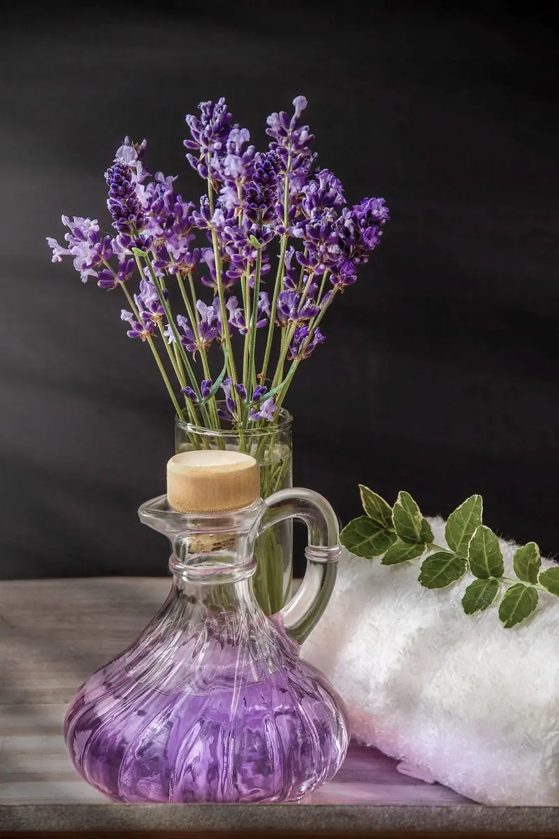 frankincense vs lavender which essential oil is better for