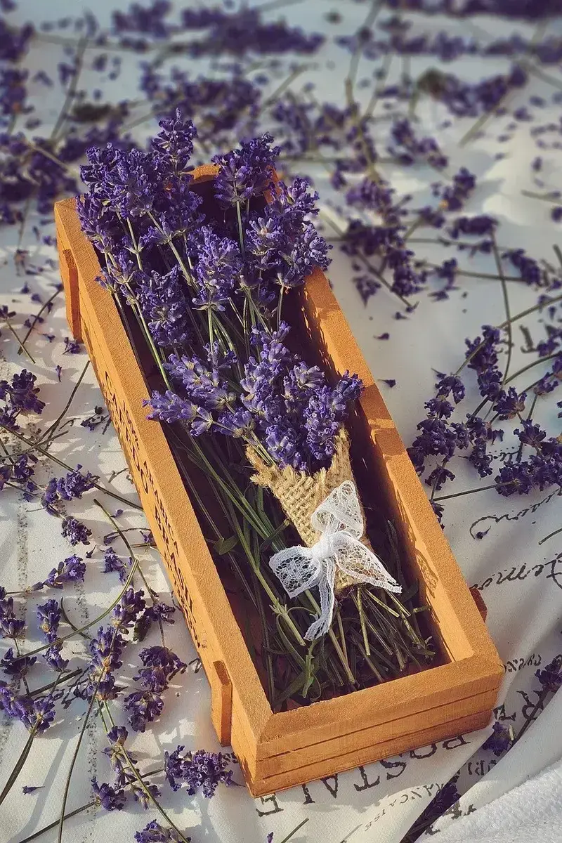 how to blend frankincense and lavender for anxiety and