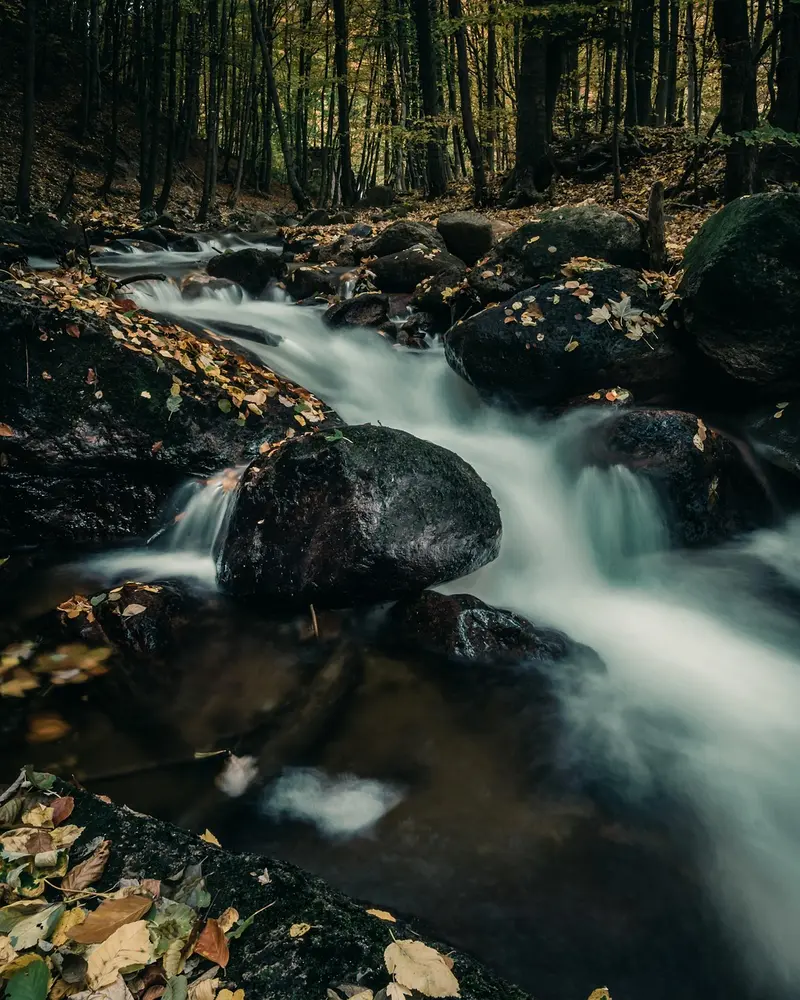 how to steam distill frankincense resin at home beginner