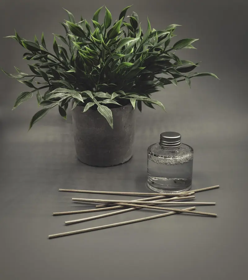 how to use frankincense oil in a diffuser for maximum